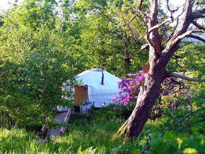 5. yurt by the stream 2